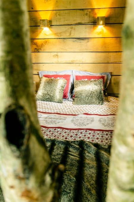 La Cabane Du Cerf Et Son Sauna Attre 외부 사진